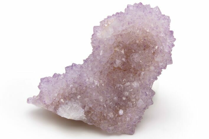 Cactus Quartz (Amethyst) Crystal Cluster - South Africa #237408
